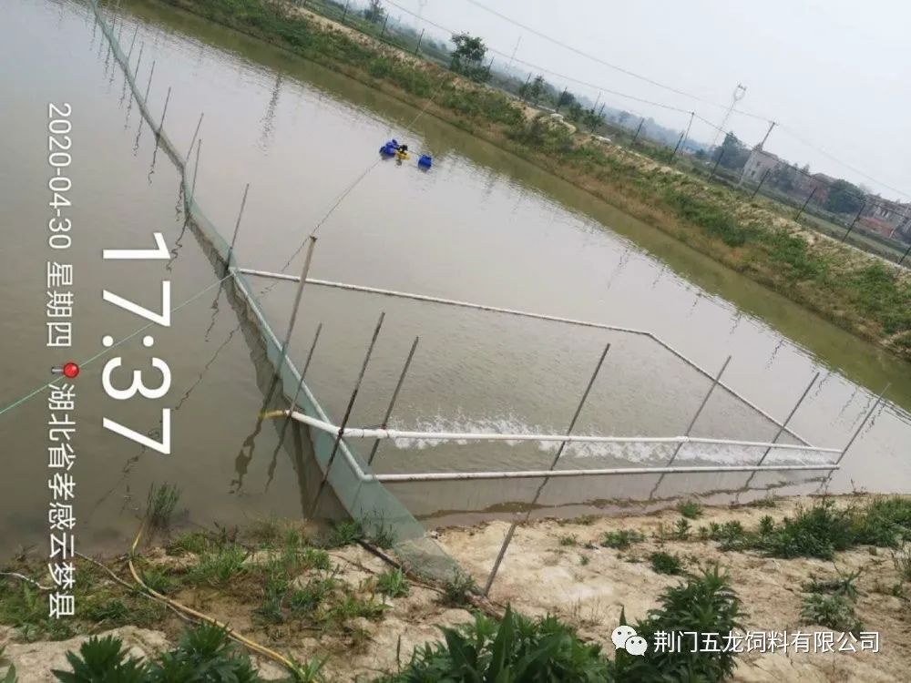 微信图片_20200605150055.jpg
