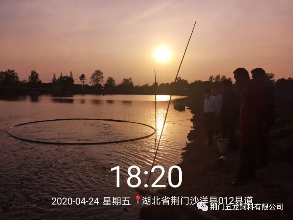 微信图片_20200605150052.jpg